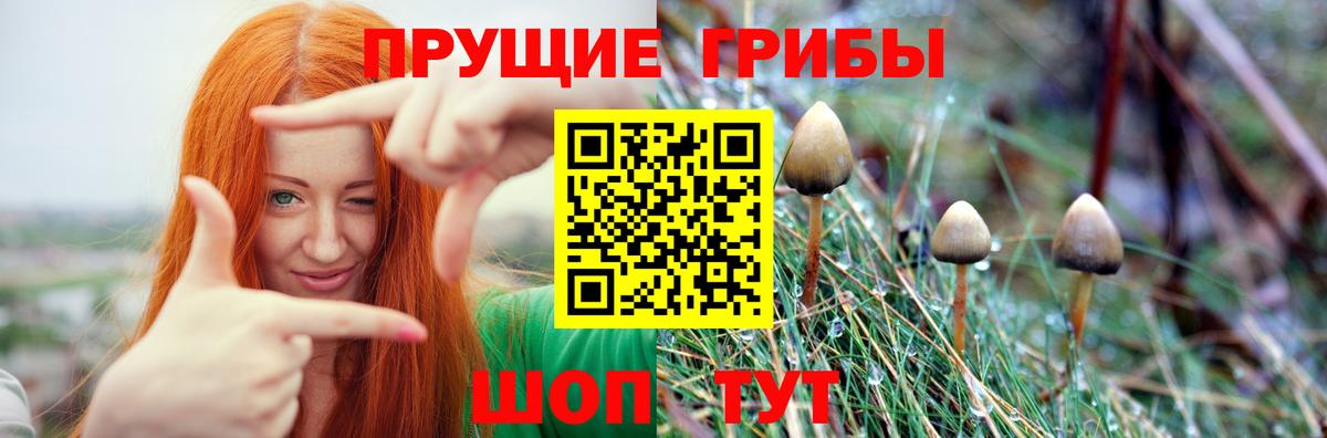 Галлюциногенные грибы прущие грибы Ликино-Дулёво